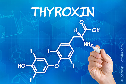 Der Körper benötigt Jod für die Produktion der Schilddrüsehormone: Trijodthyronin (T3) und Tetrajodthyronin/Thyroxin (T4) 
